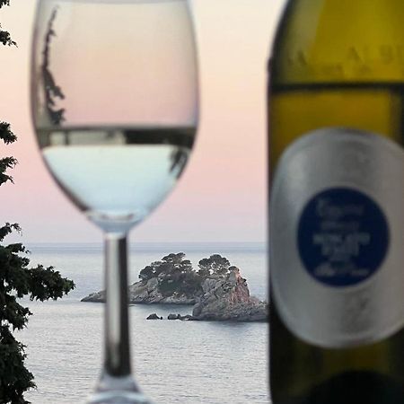 Seahaven Διαμέρισμα Petrovac Εξωτερικό φωτογραφία