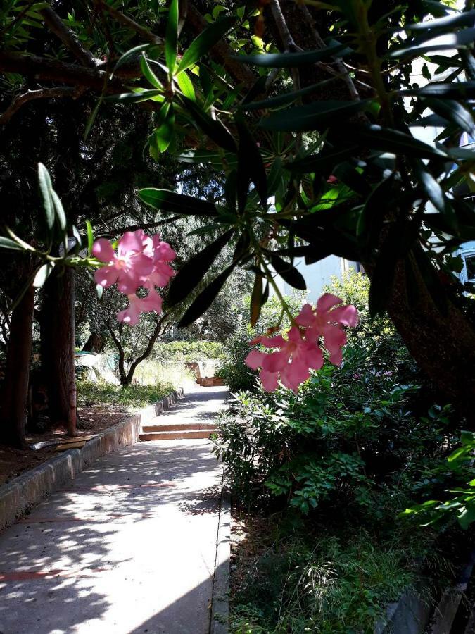Seahaven Διαμέρισμα Petrovac Εξωτερικό φωτογραφία